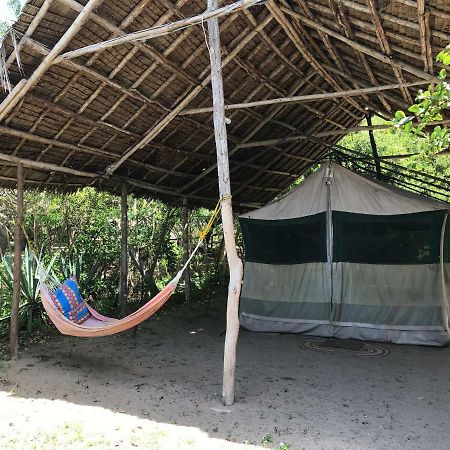 Peponi Beach Resort Pangani Esterno foto