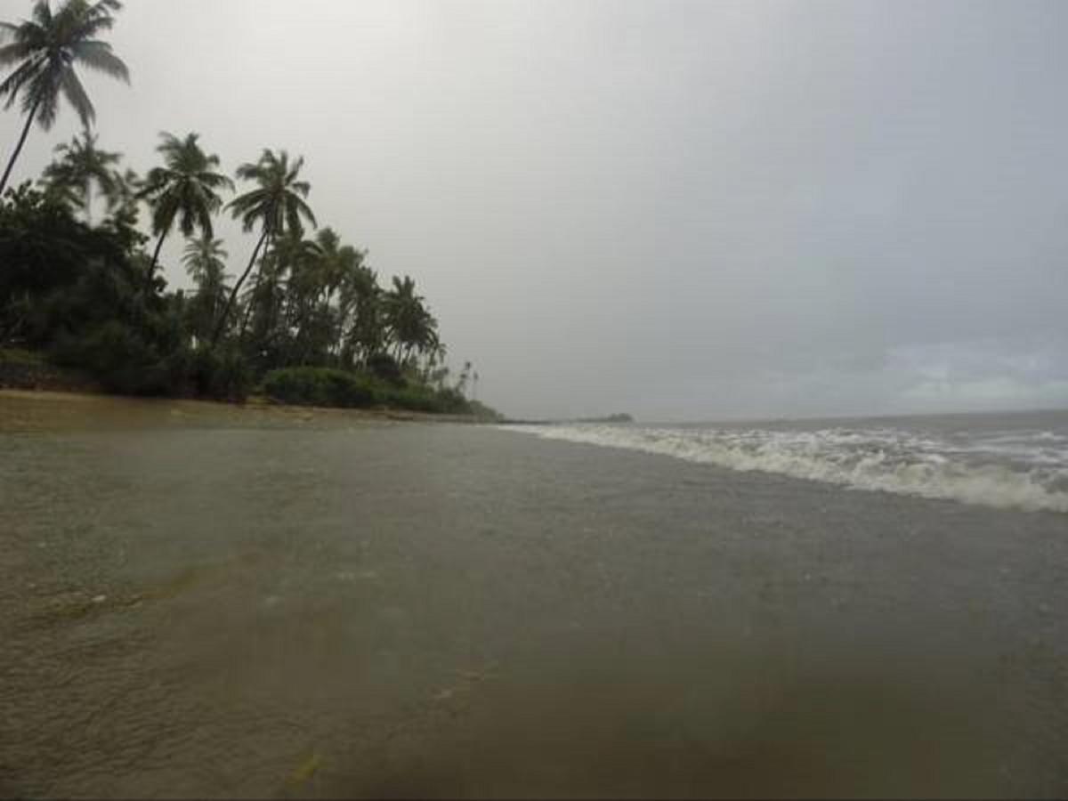 Peponi Beach Resort Pangani Esterno foto