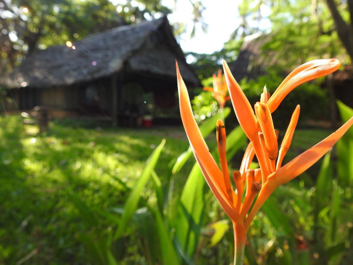 Peponi Beach Resort Pangani Esterno foto